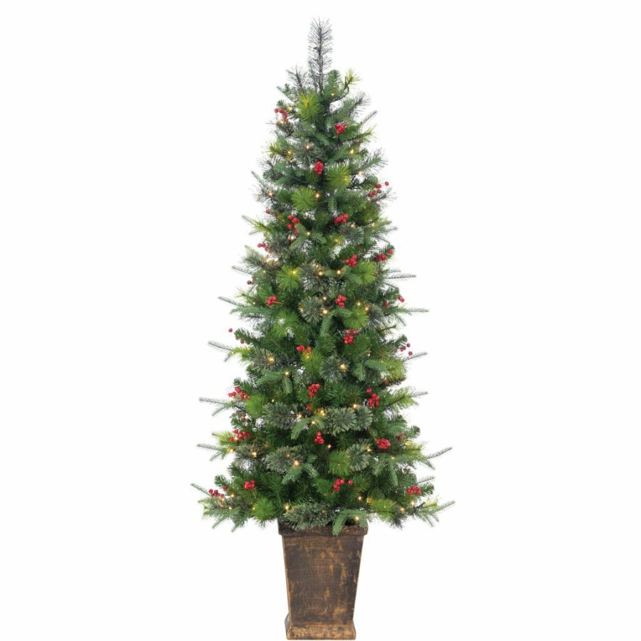 Home Goods & Toys * | Gerson International 6 Ft. High Potted Hard/Mixed Needle Douglas Pine With Red Berries, 250 Warm White Led Lights