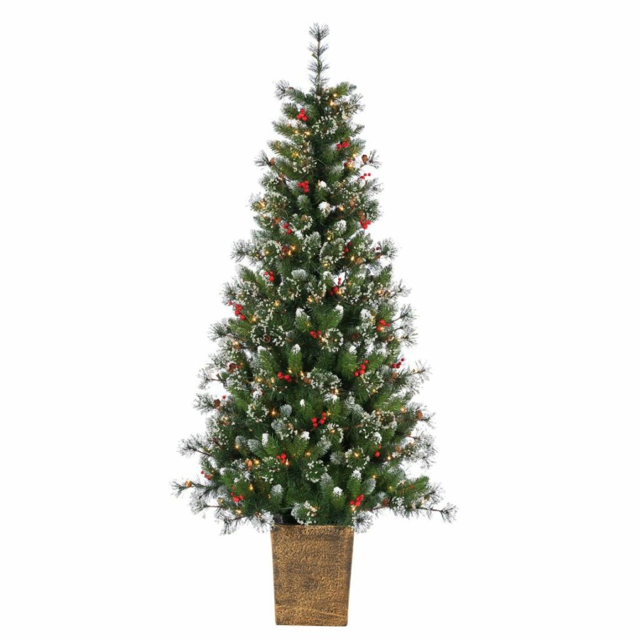 Home Goods & Toys * | Gerson International 6 Ft. High Potted Hard/Mixed Needle Glazier Pine, Iced Tips, Pine Cones, Red Berries, 200 Lights