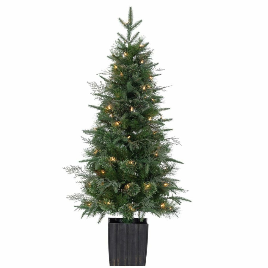 Home Goods & Toys * | Gerson International 4 Ft. High Potted Natural Cut Hard/Mixed Needle Normandy Pine Tree With 70 Clear Led Lights